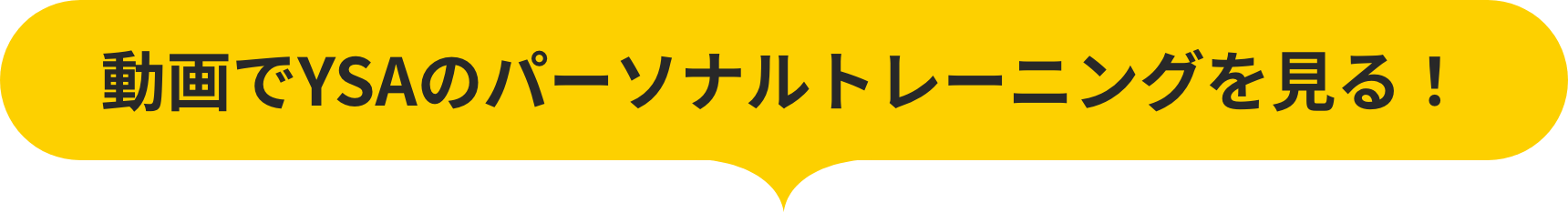動画でYSAのパーソナルトレーニングを見る!